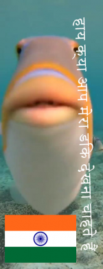 hindifish.png